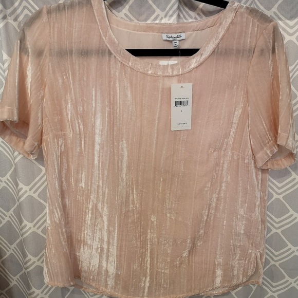 Splendid Velvet T shirt - Picture 2 of 3